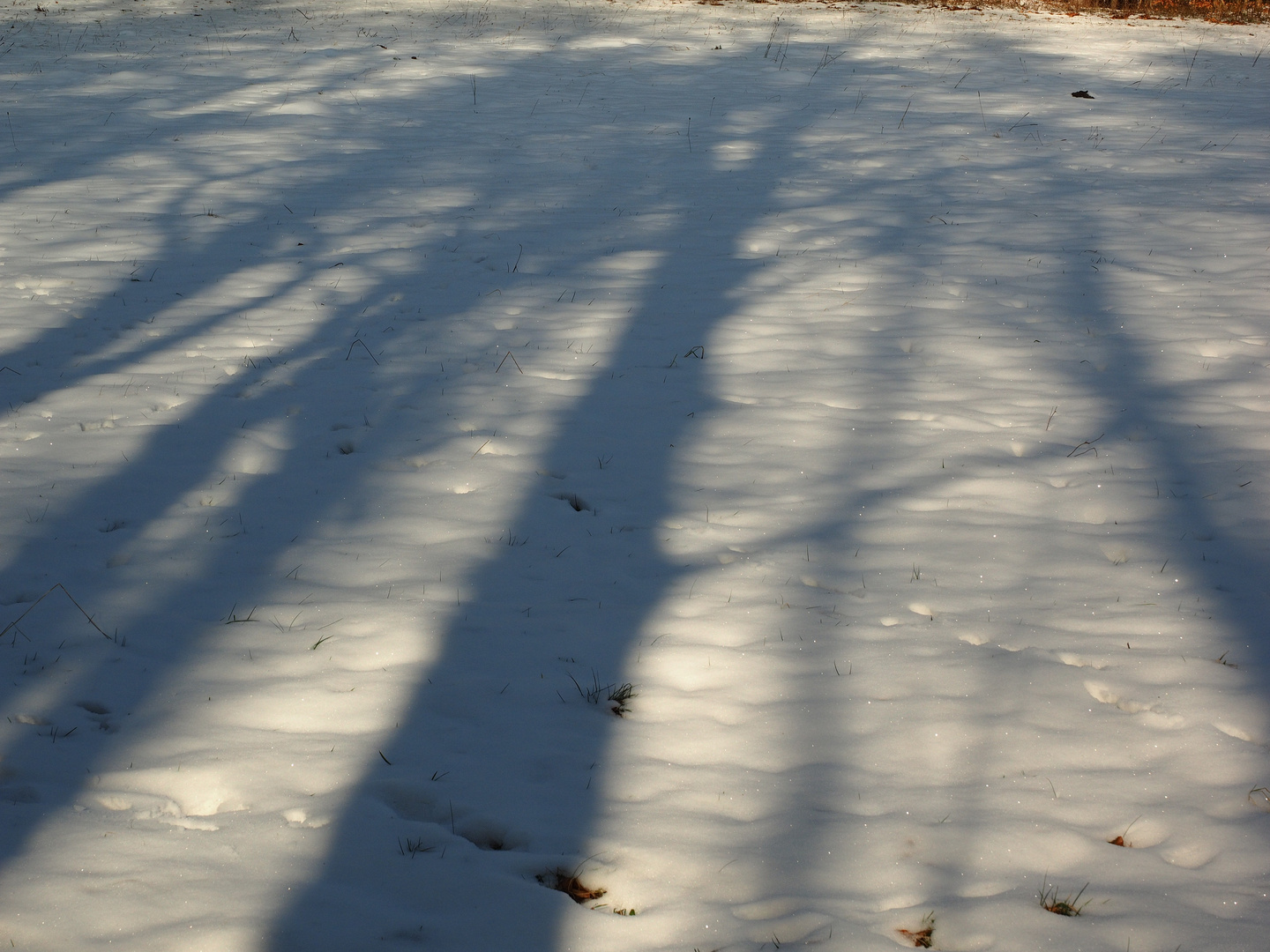 Winterschatten