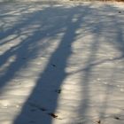 Winterschatten