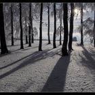 Winterschatten