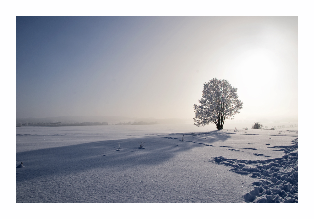 Winterschatten....