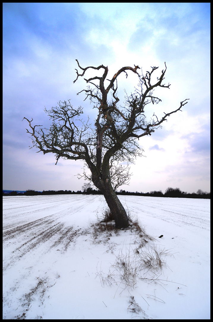 Winterschlaf