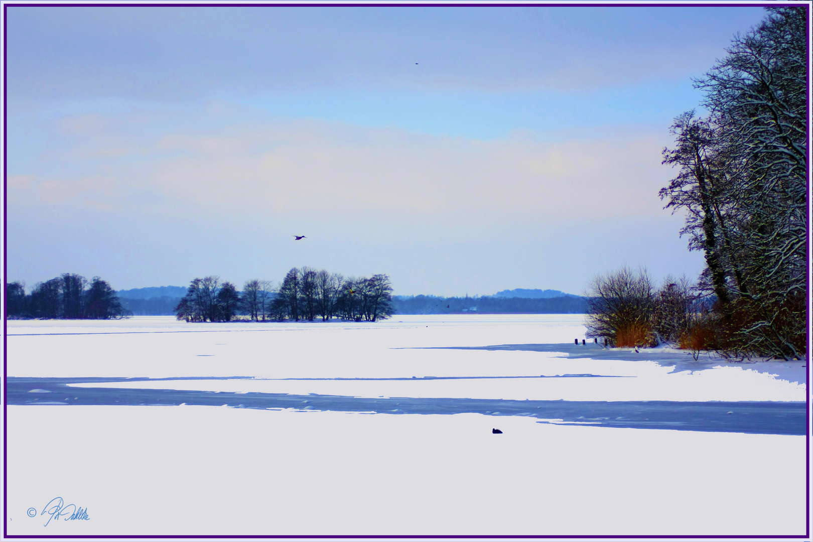 " Winterschlaf "