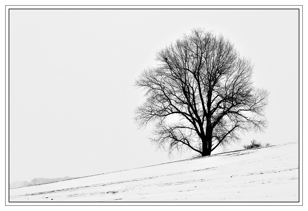 Winterschlaf.... #2