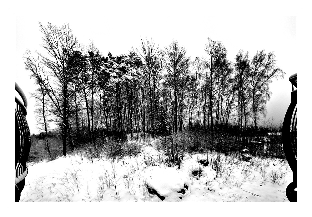 Winterschlaf #3