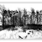 Winterschlaf #3