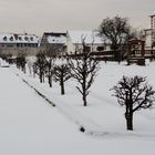 Winterschlaf