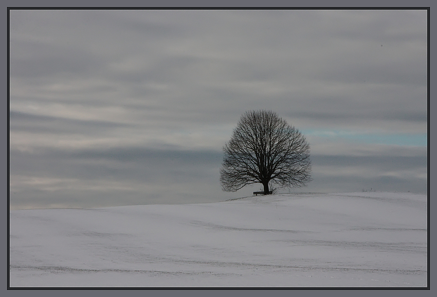 - Winterschlaf -