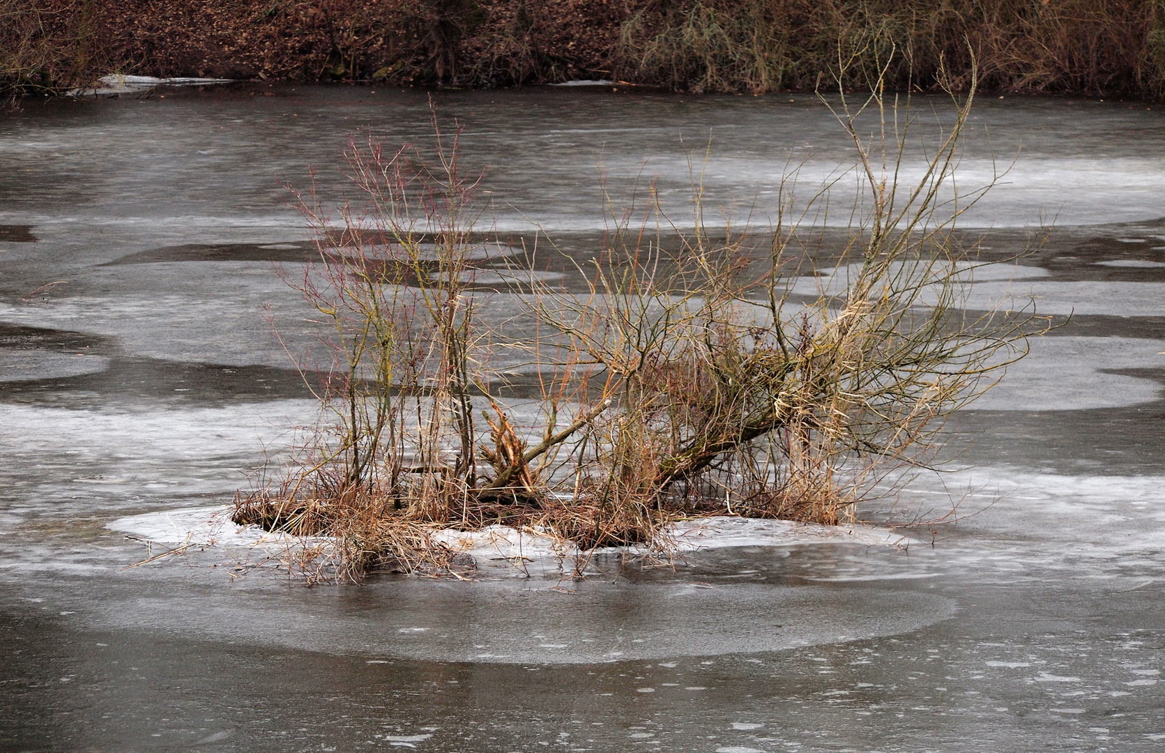 winterschlaf