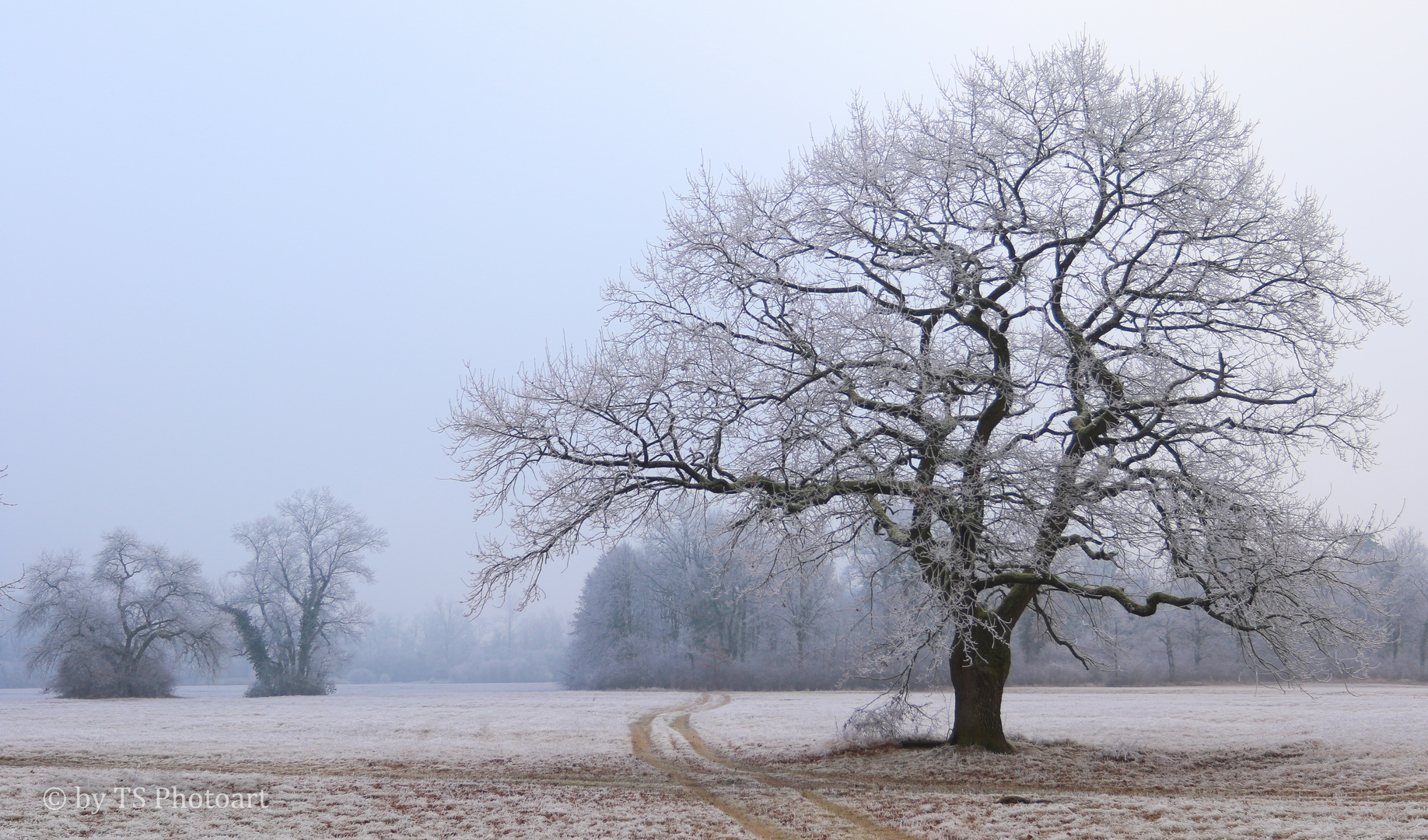 Winterschlaf