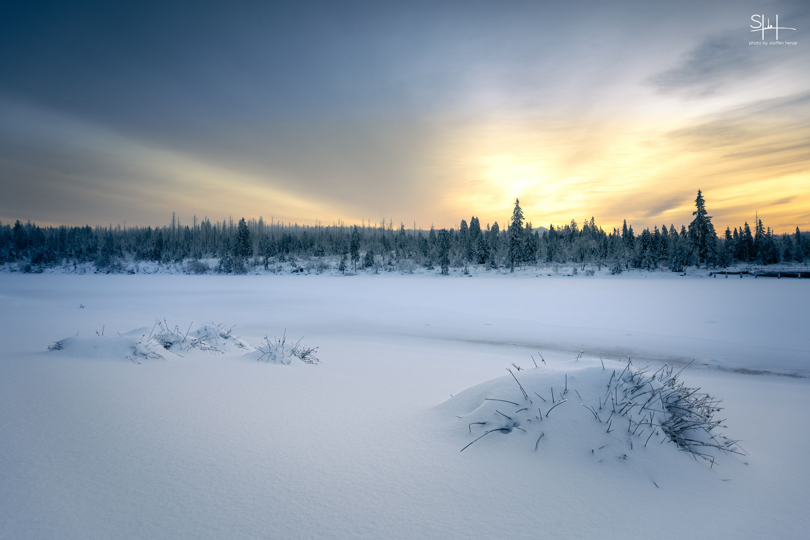 Winterschlaf am Oderteich 