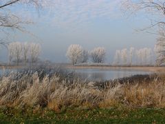 Winterschlaf am See