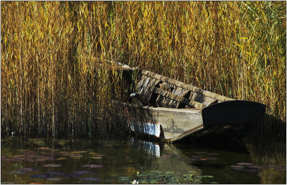 ... Winterschlaf am Teich ...