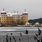 Winterschlaf auf Schloss Moritzburg