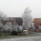 Winterschlaf