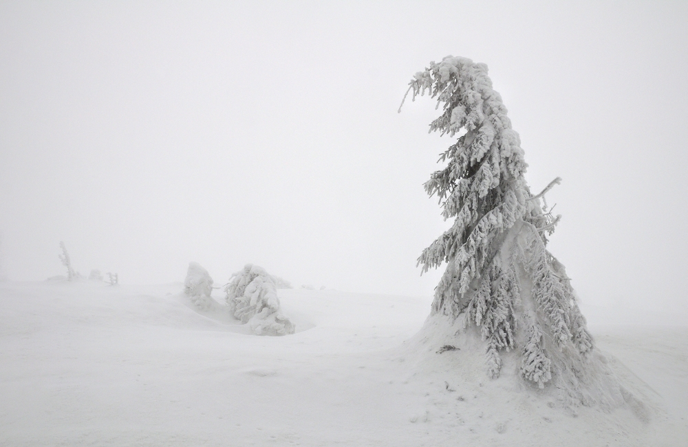 Winterschlaf