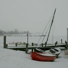 Winterschlaf