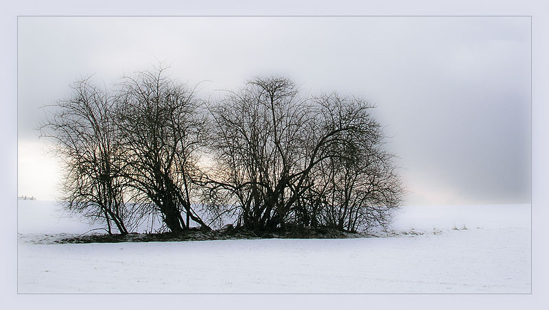 winterschlaf