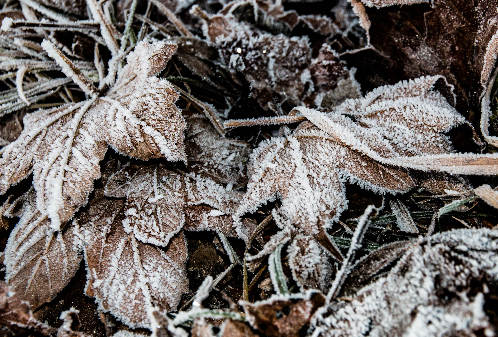 ***Winterschlaf***