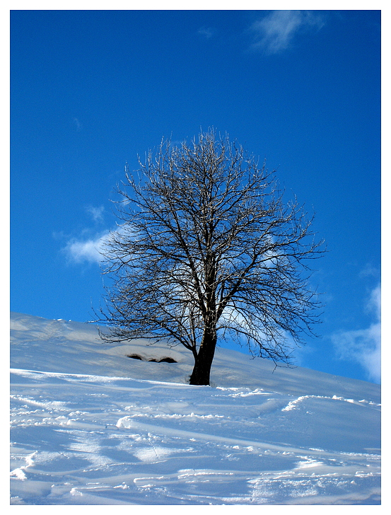 Winterschlaf