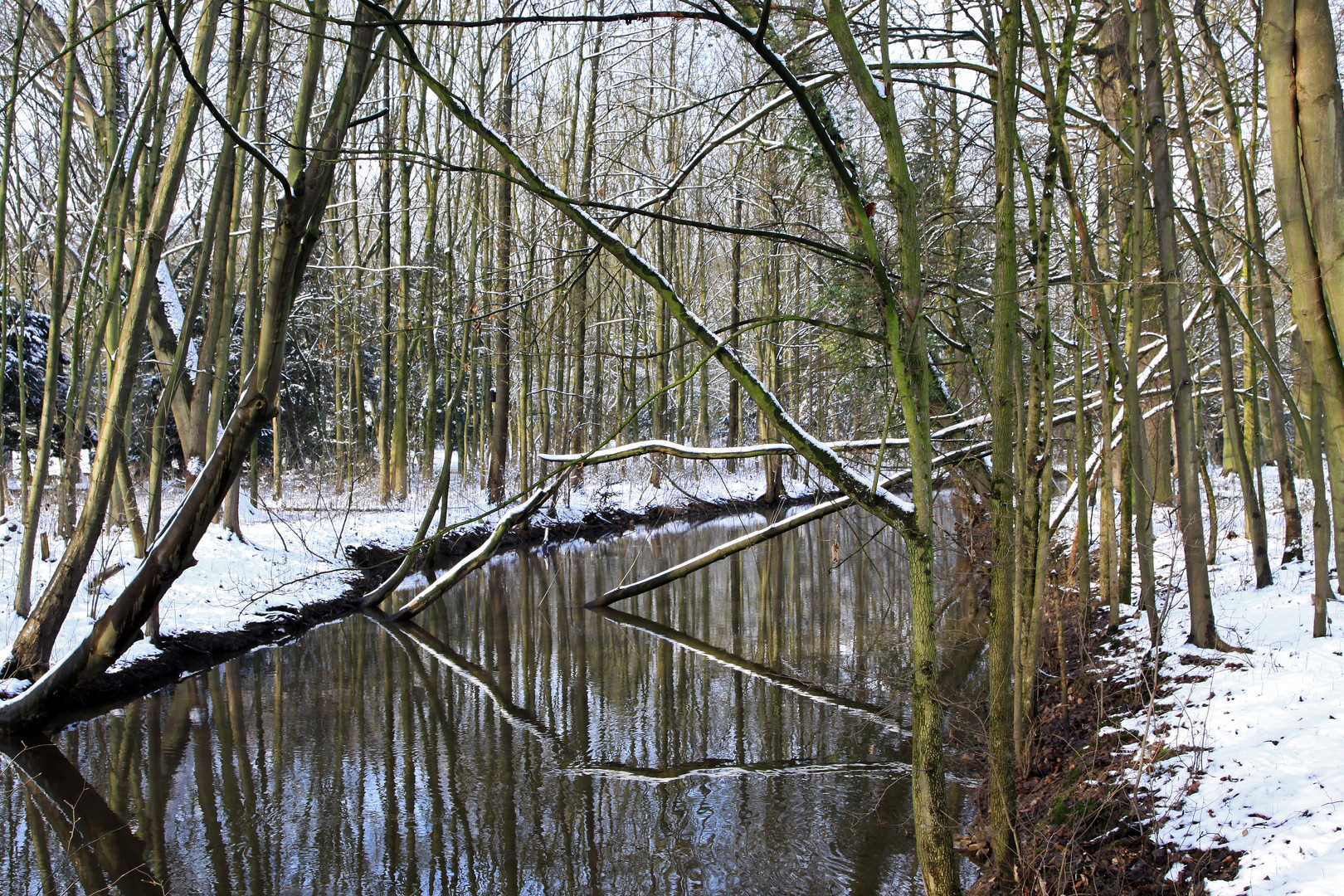 Winterschlaf der Natur