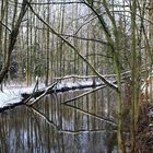 Winterschlaf der Natur