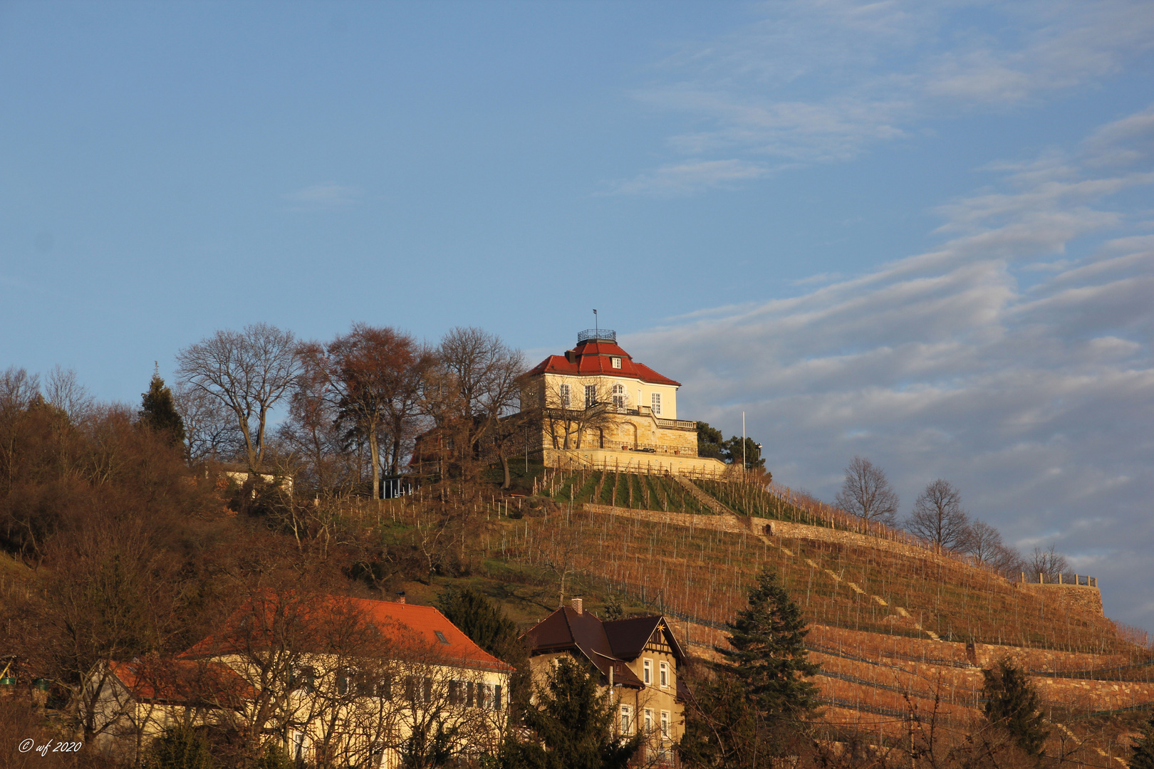 Winterschlaf der Reben