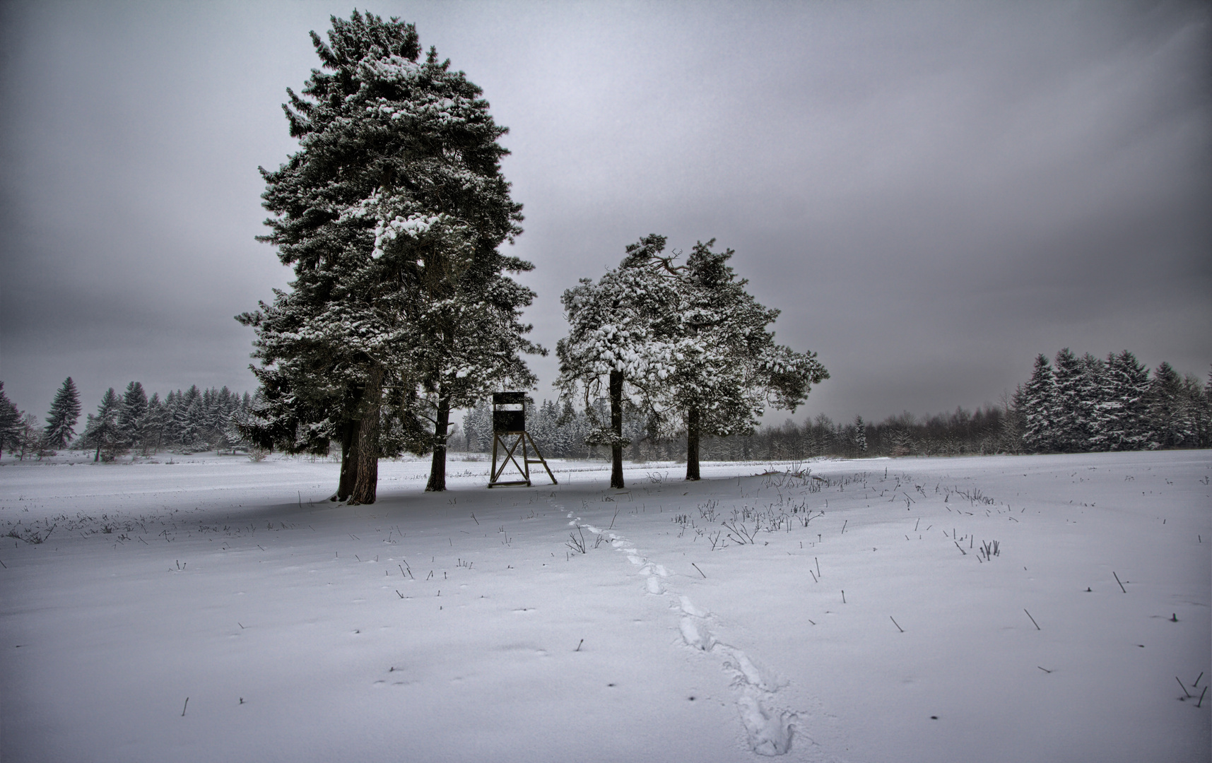 Winterschlaf