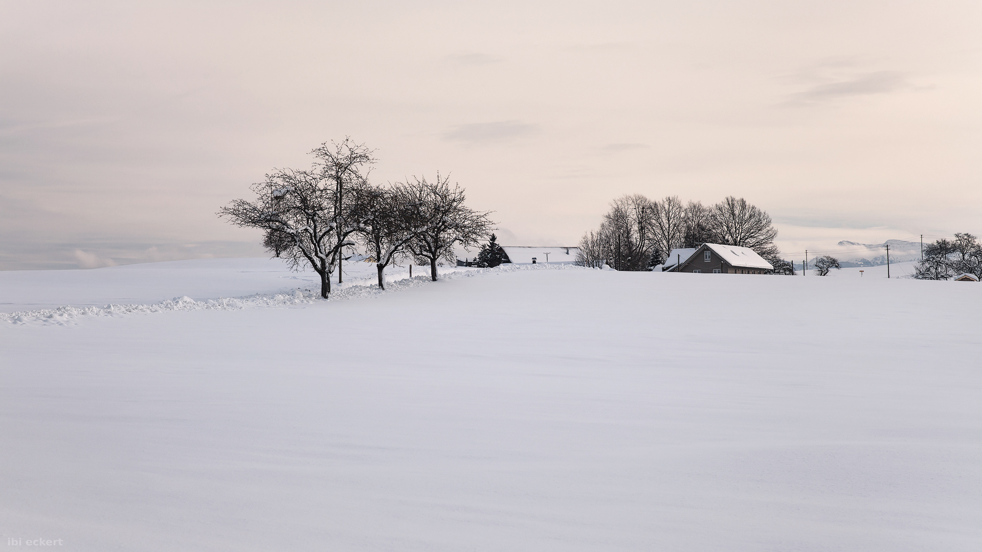 Winterschlaf