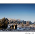 Winterschlaf in der Lüneburger Heide