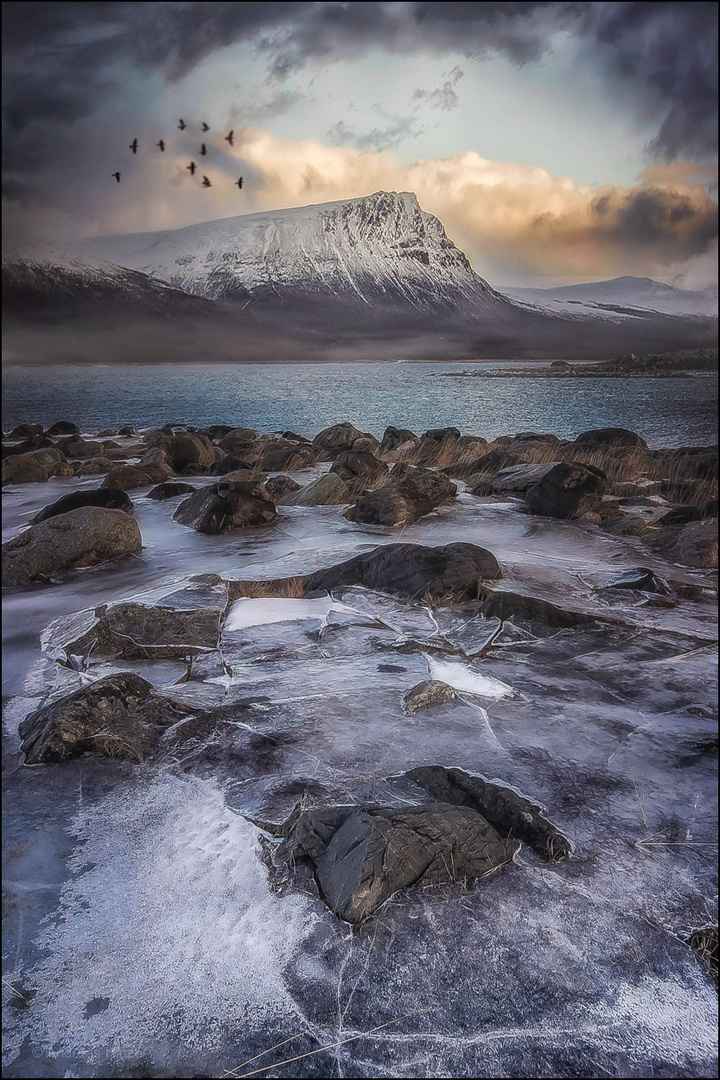 Winterschlaf & Polarnacht