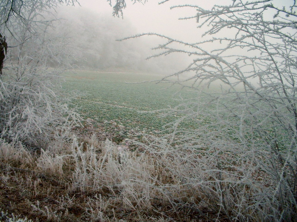 Winterschleier von Malin Witschel 