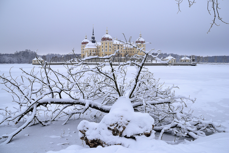 Winterschloss Moritzburg