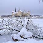 Winterschloss Moritzburg