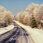 Winterschluß am Ende beginnt der Frühling