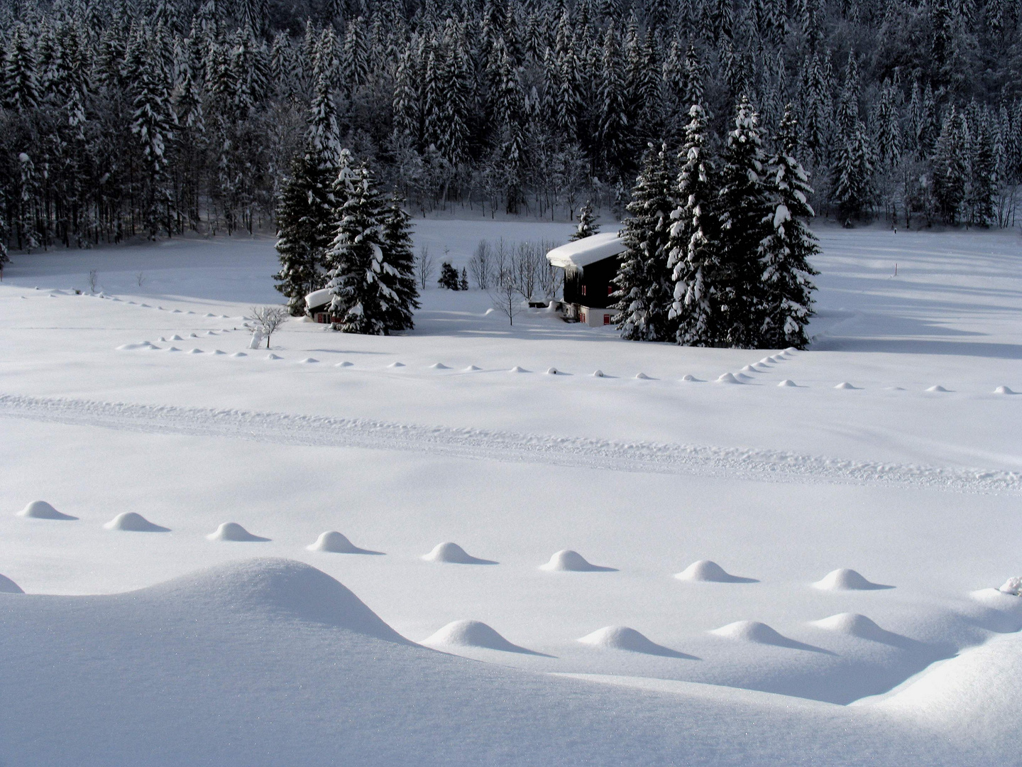 Winterschlußverkauf 1