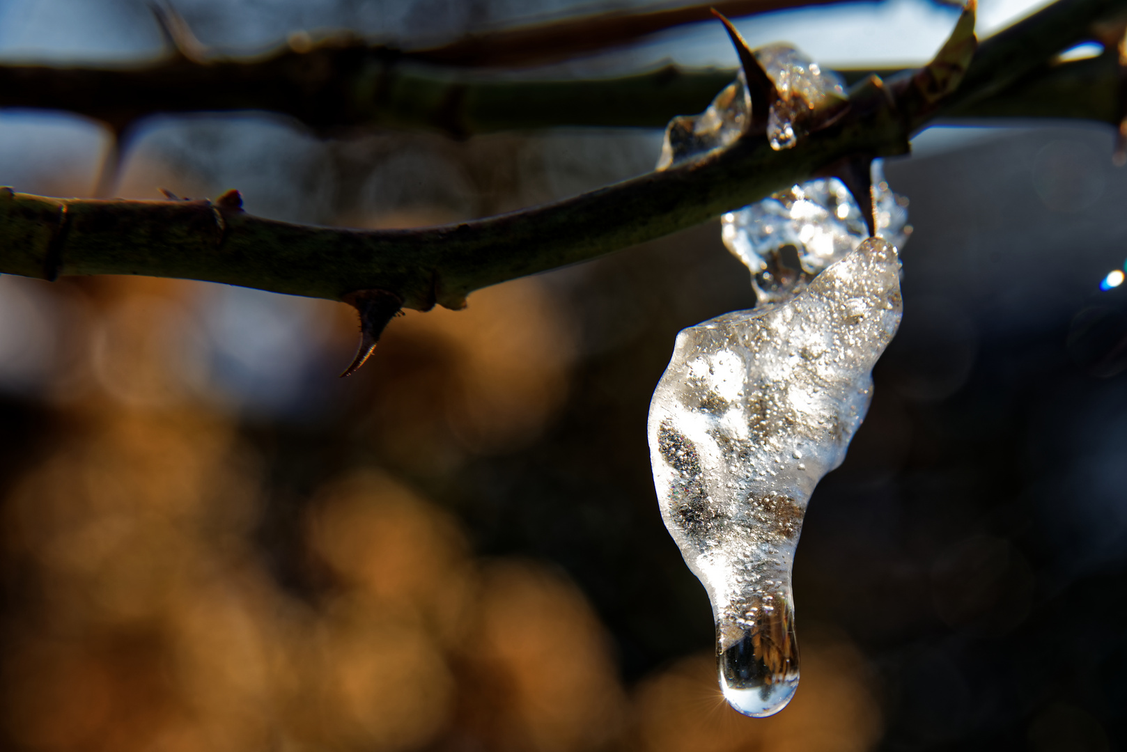 Winterschlussverkauf