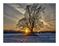 Winterschlussverkauf Nr.2