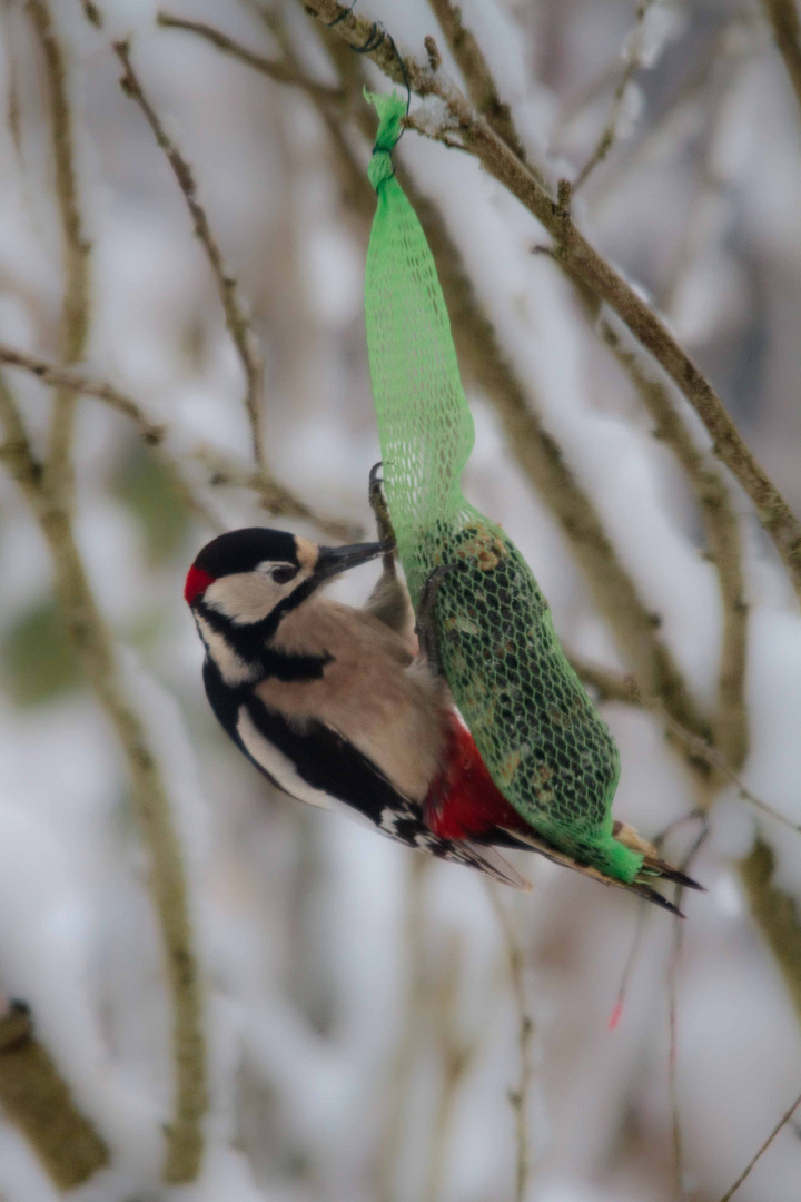 Winterschmaus