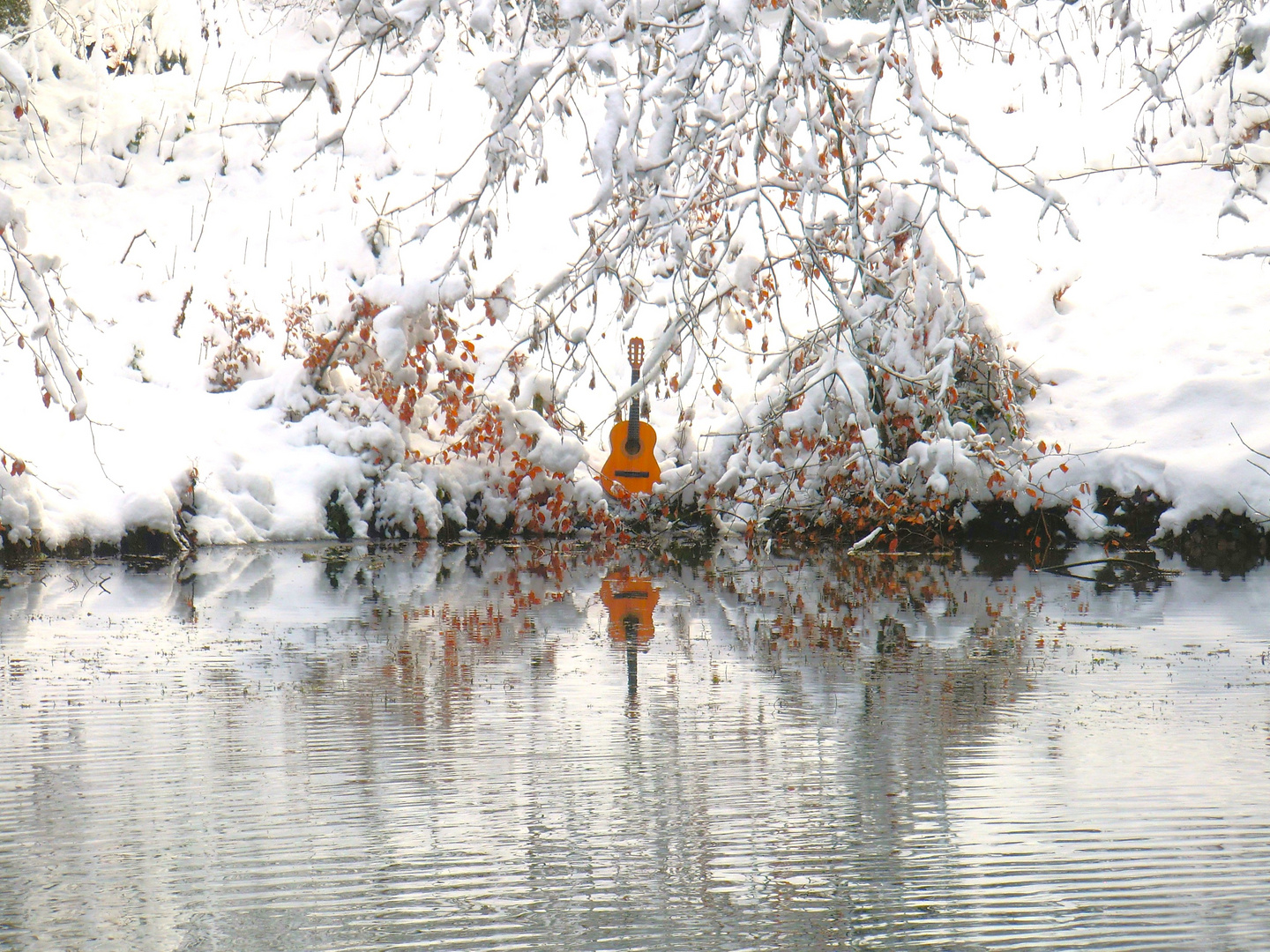 Winterschmetterling