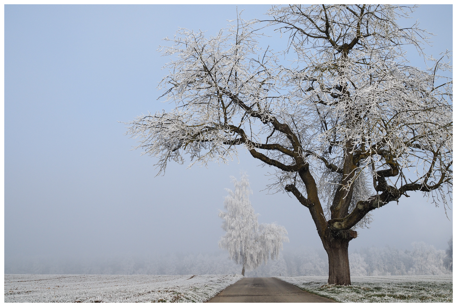 Winterschmuck