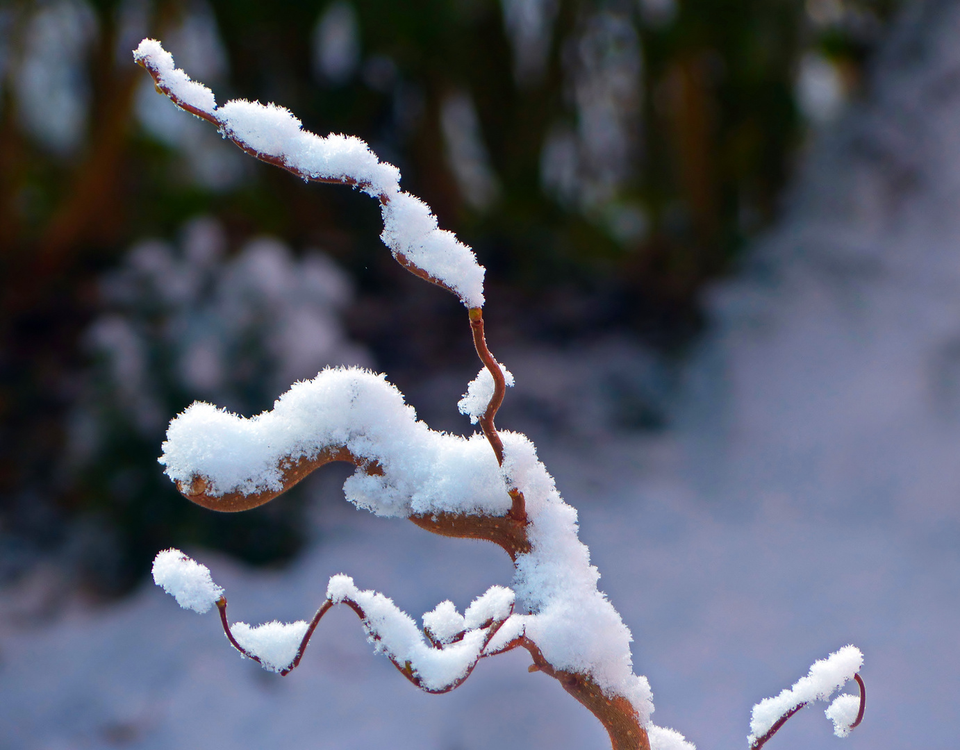 Winterschmuck