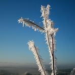 Winterschmuck