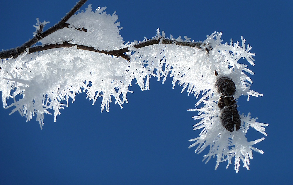 Winterschmuck