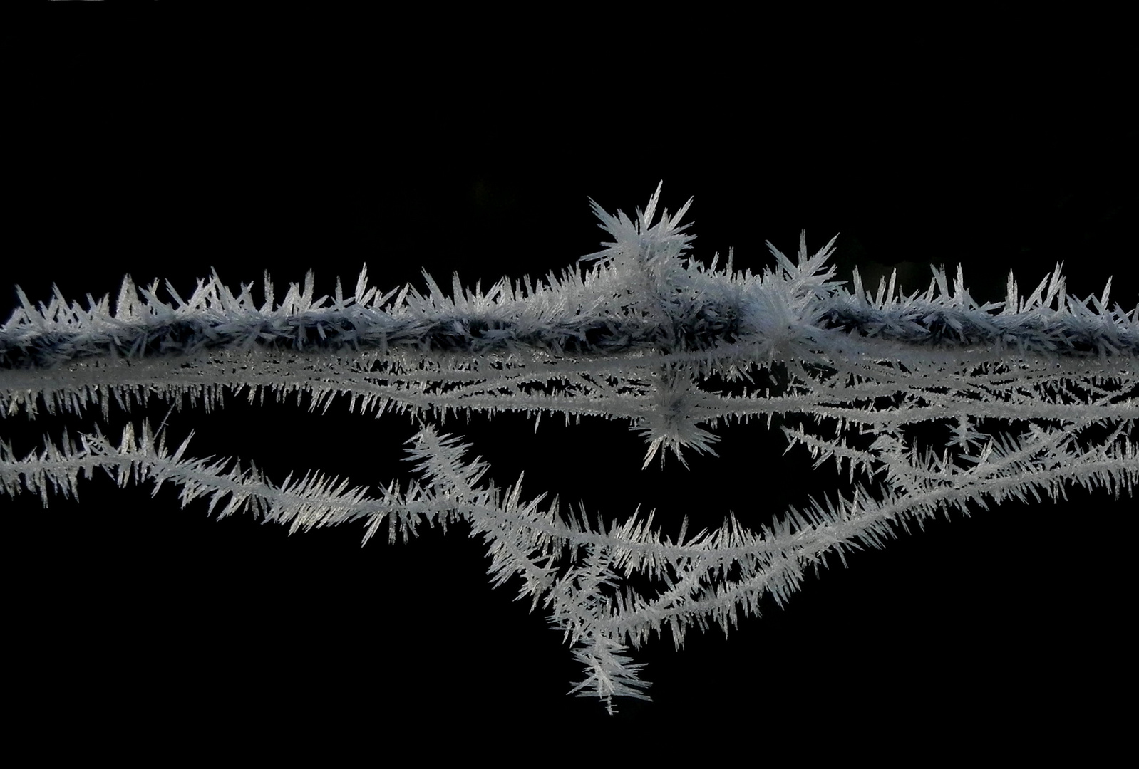 Winterschmuck am Stacheldraht