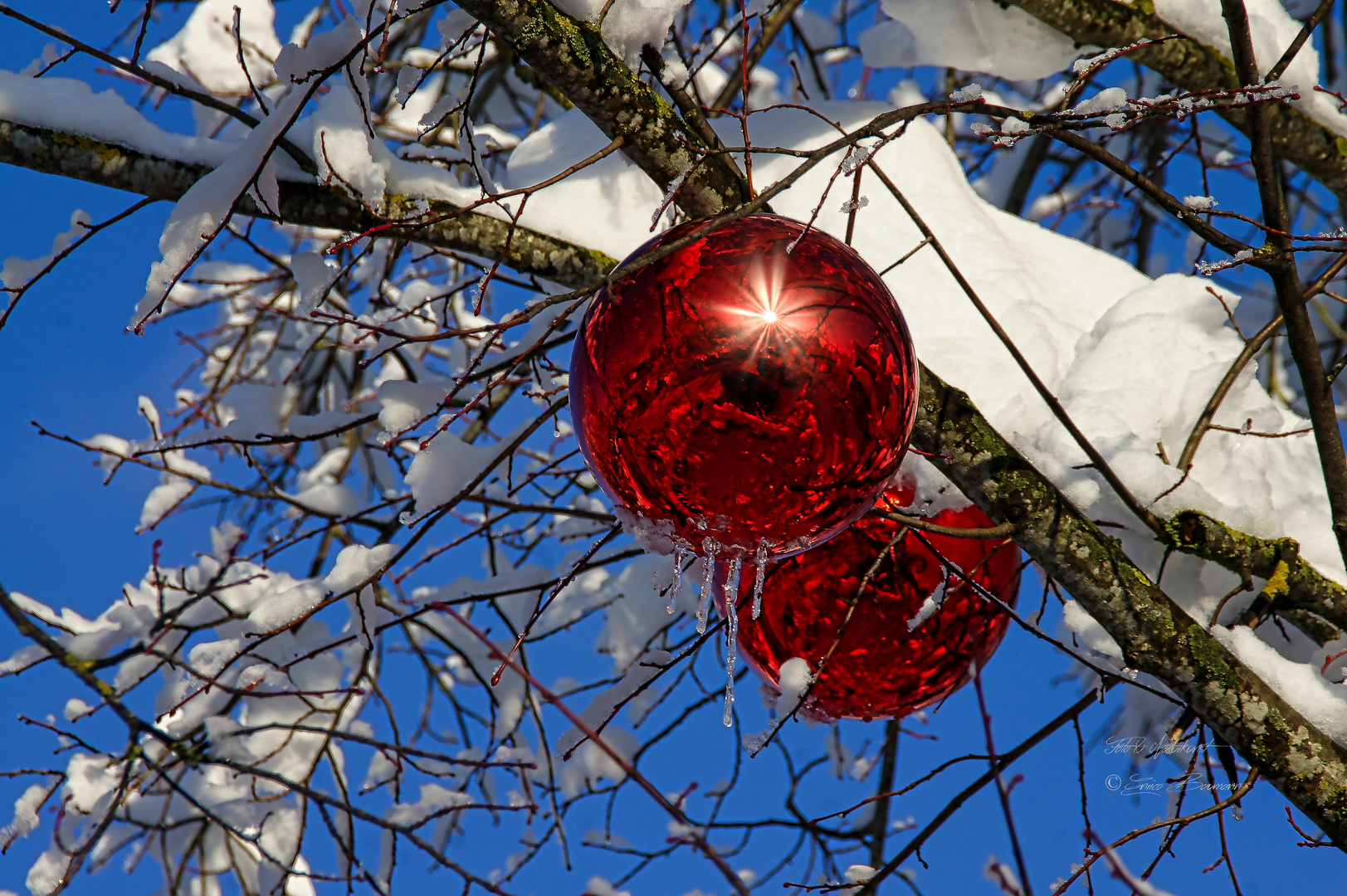 Winterschmuck im Freien