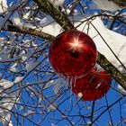 Winterschmuck im Freien