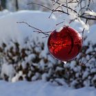 Winterschmuck im Freien mit Spiegelung