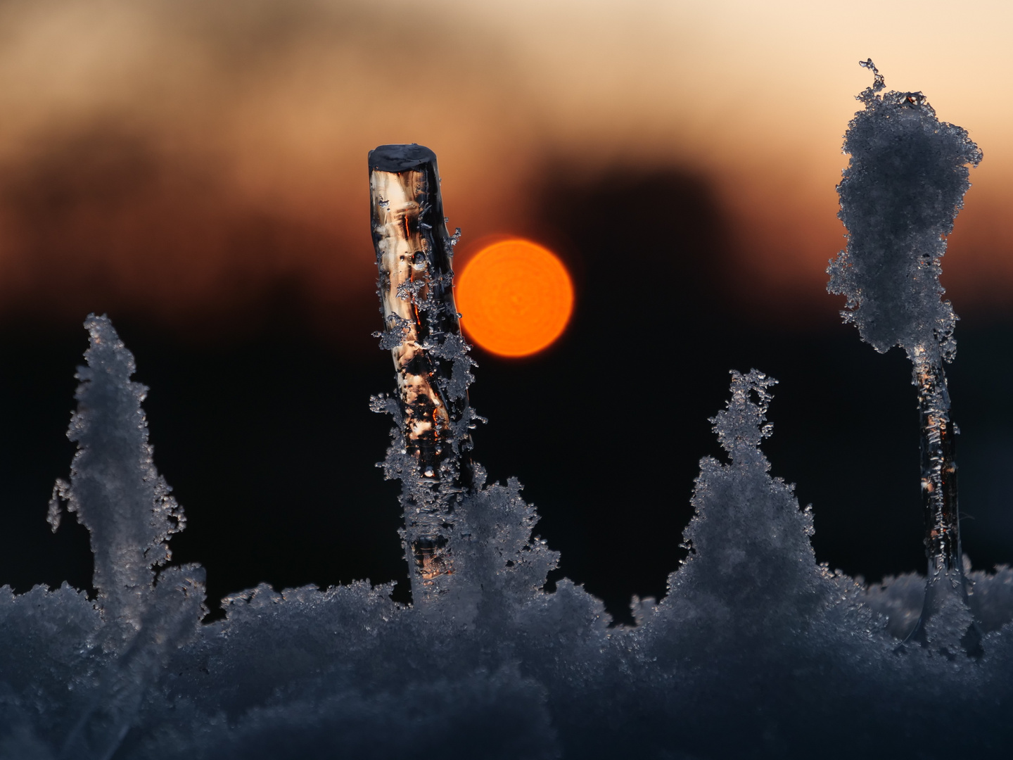 Winterschnappschuss im Sonnenuntergang 