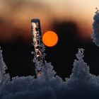 Winterschnappschuss im Sonnenuntergang 