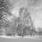 Winterschneebäumehimmel